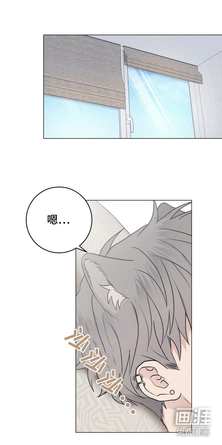 第11章：休学