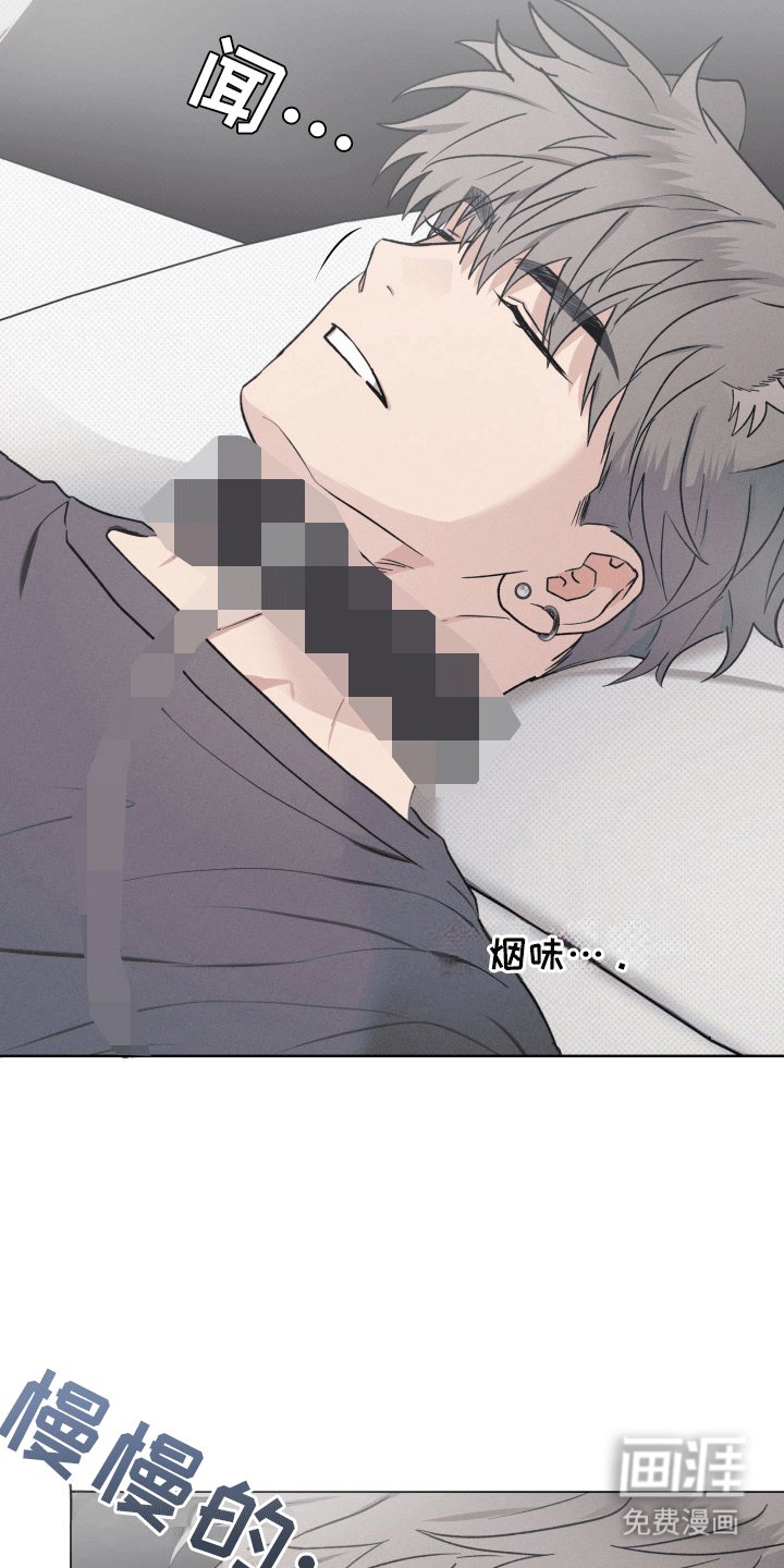 第13章：带走
