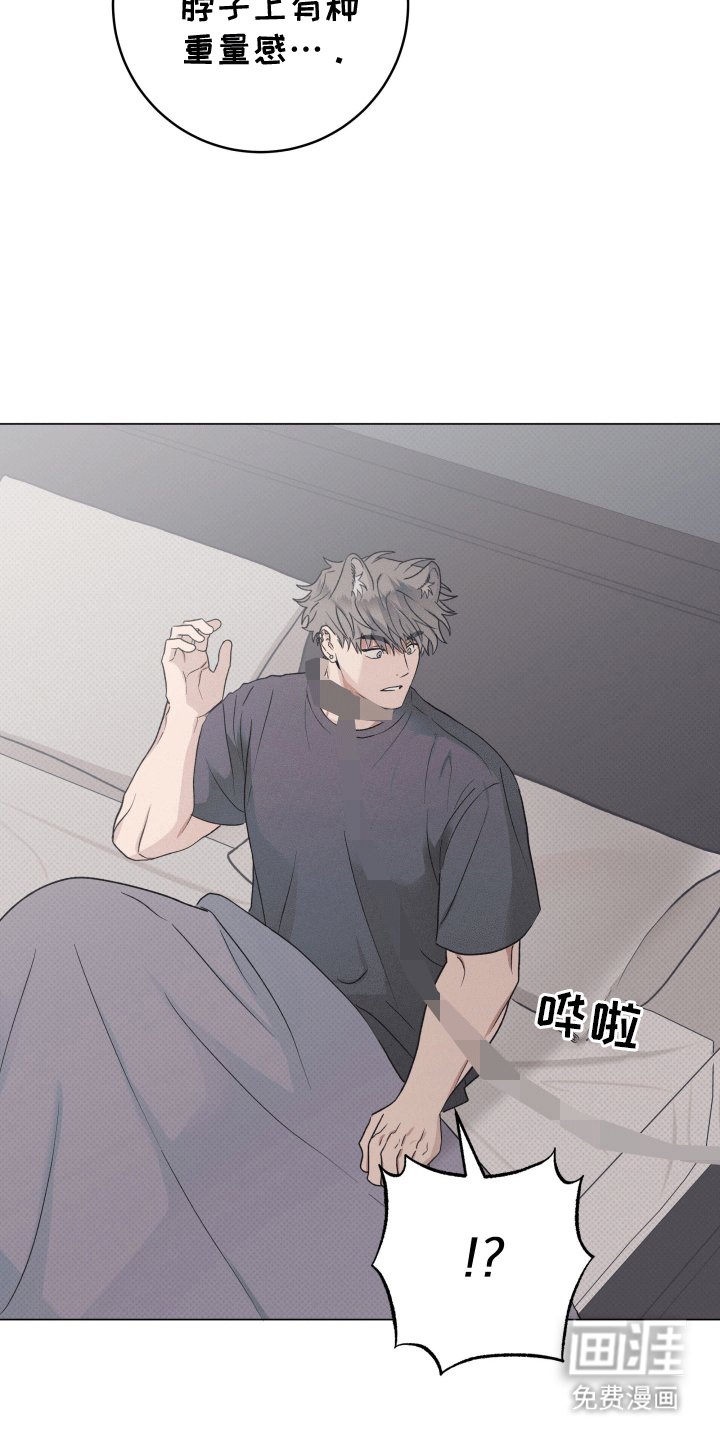 第13章：带走