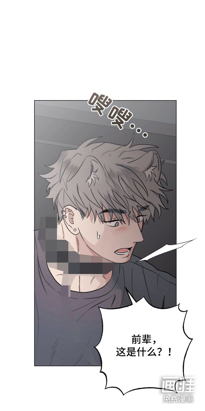 第13章：带走