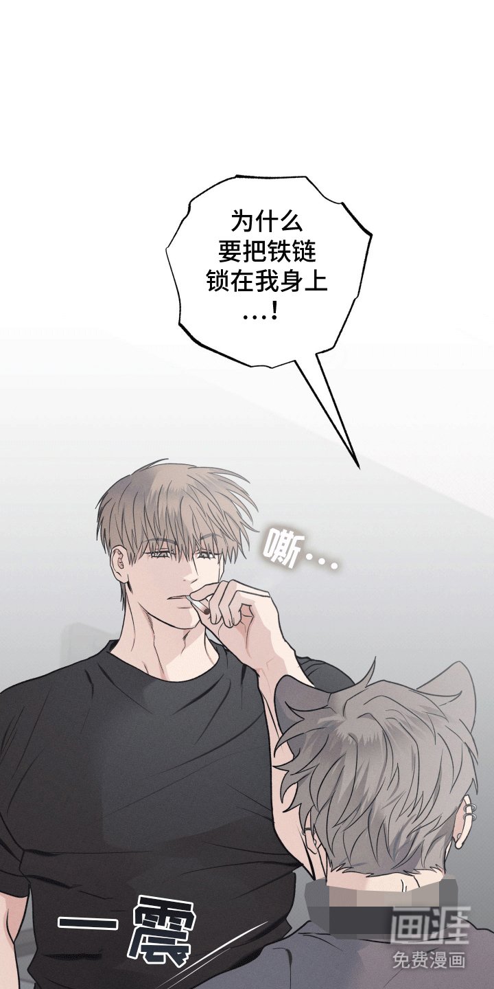 第13章：带走