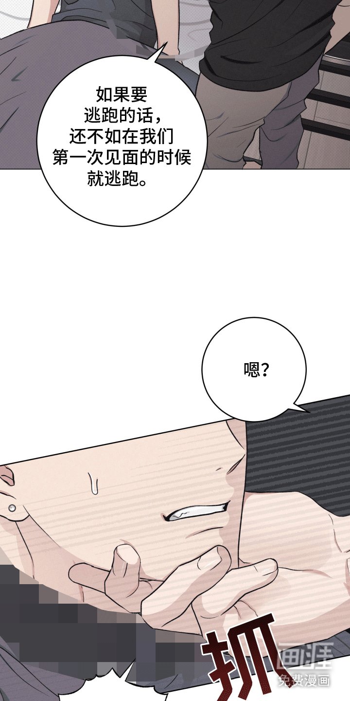 第13章：带走