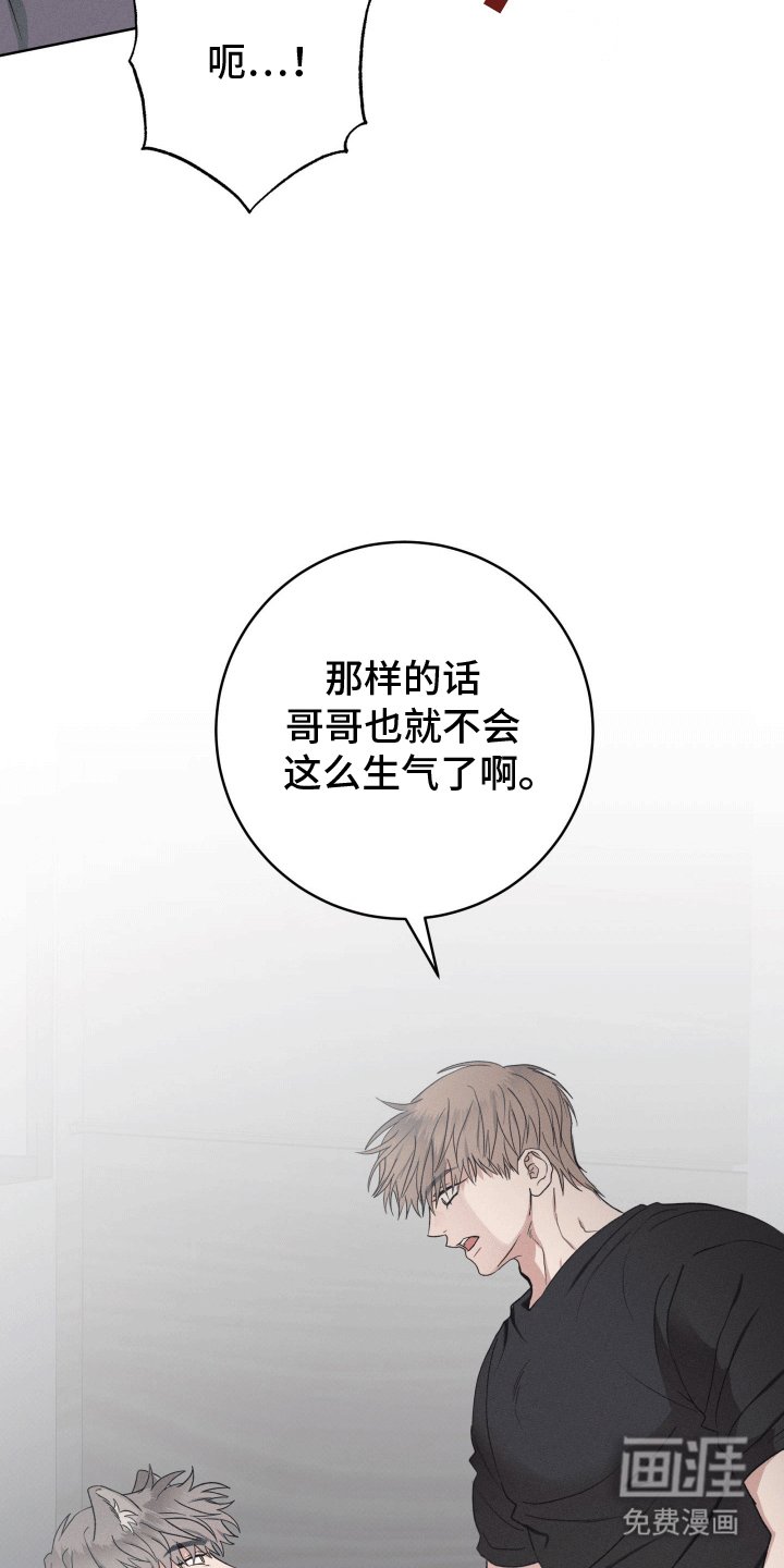 第13章：带走