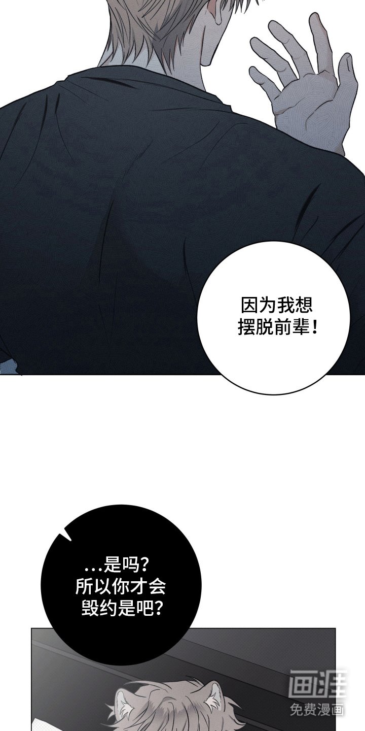 第14章：他的主人（完结）