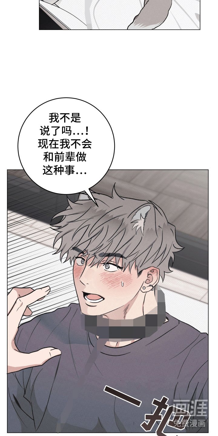 第14章：他的主人（完结）