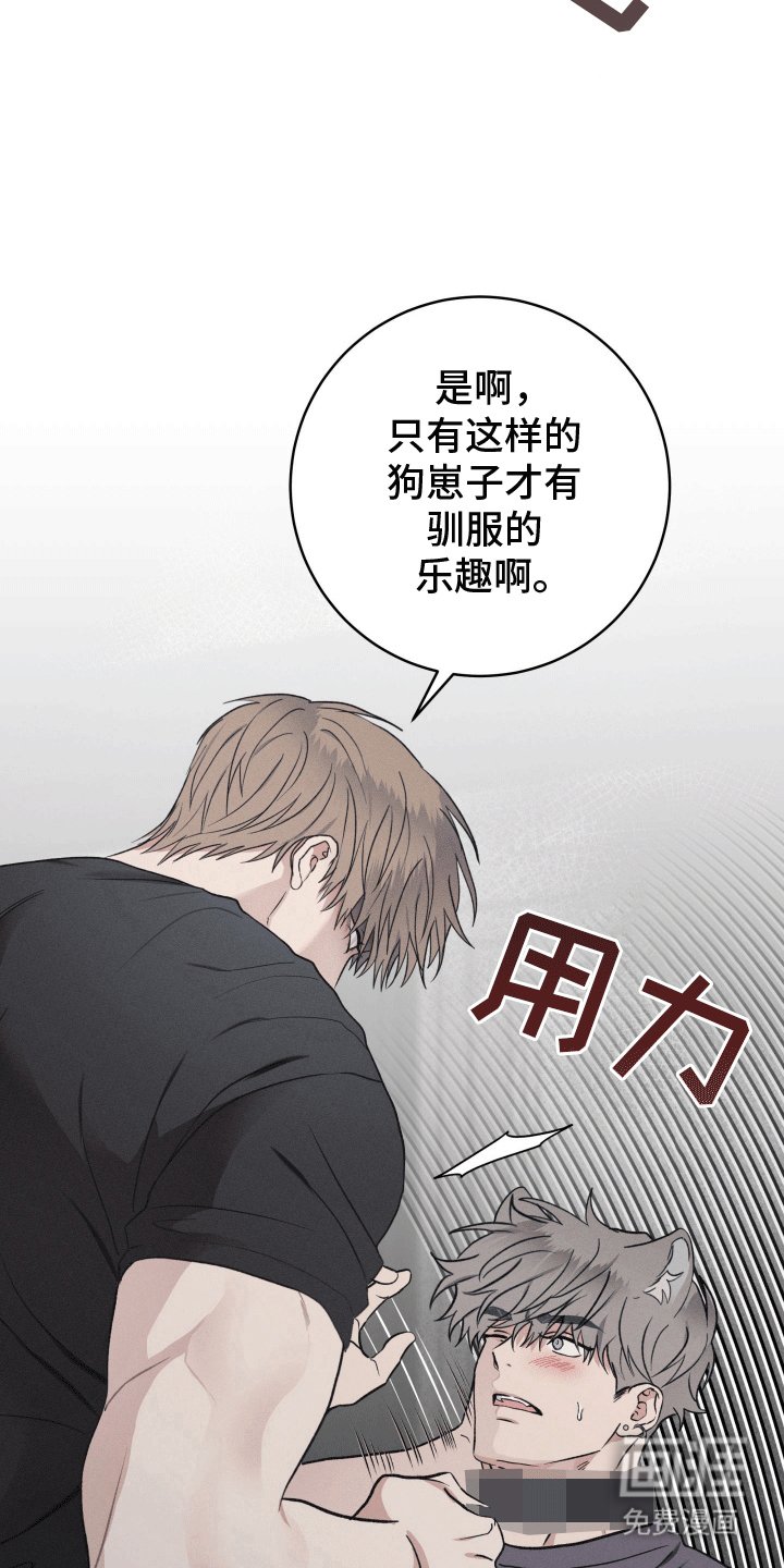 第14章：他的主人（完结）