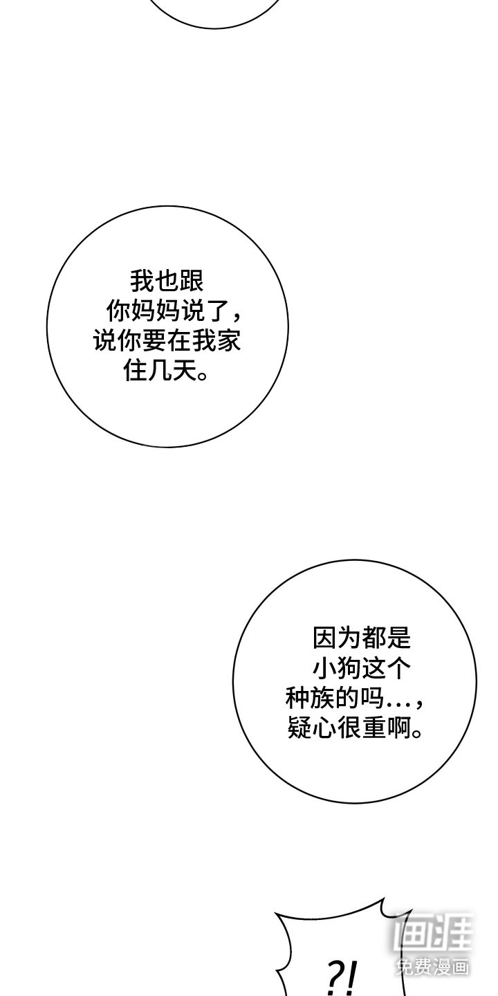 第14章：他的主人（完结）