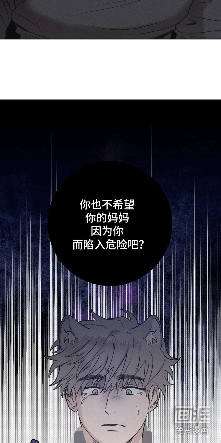 第14章：他的主人（完结）