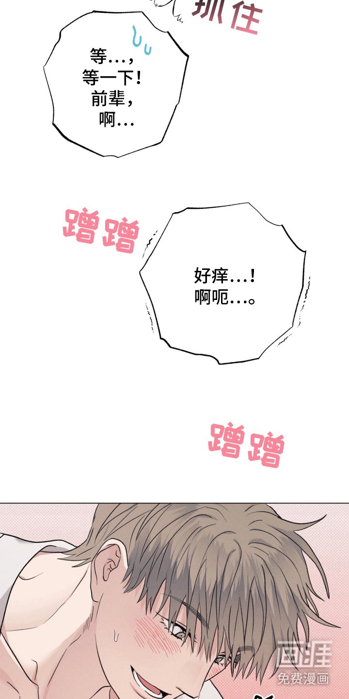 第4章：请求