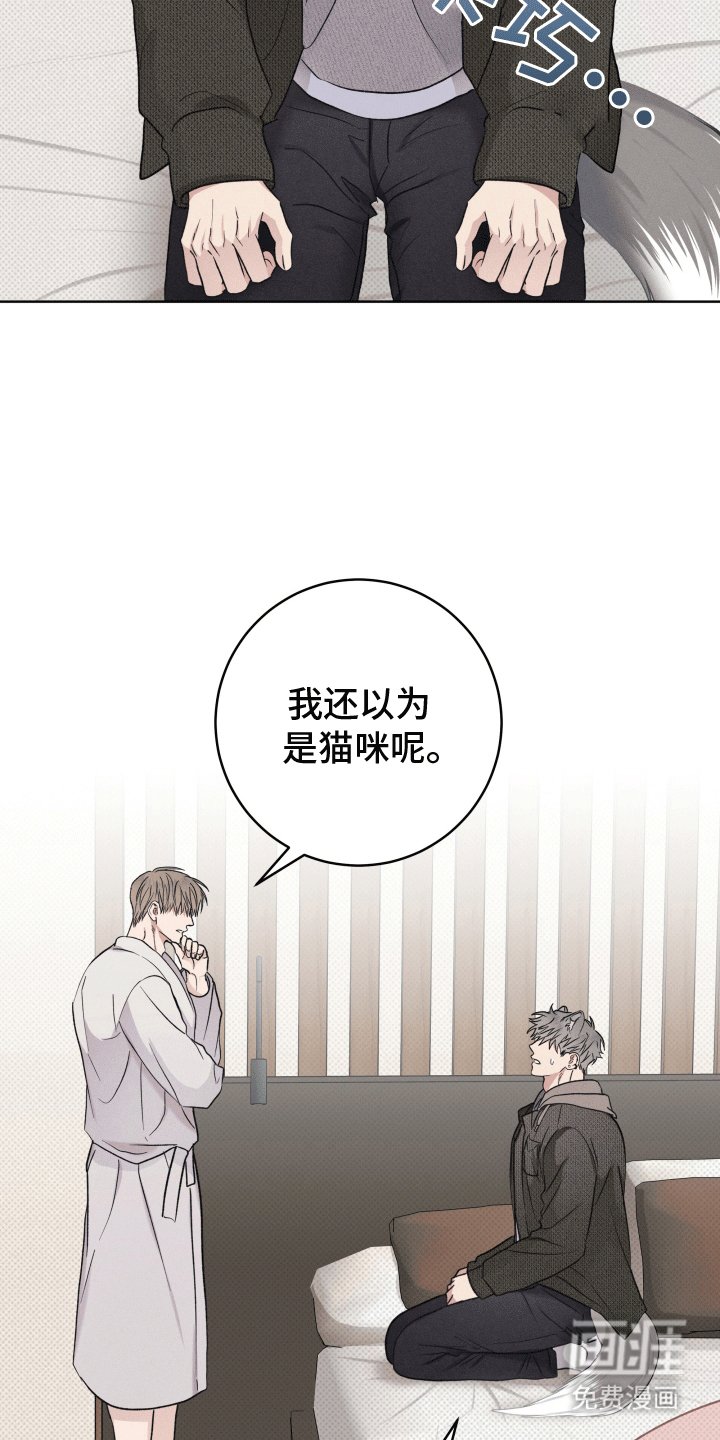 第4章：请求