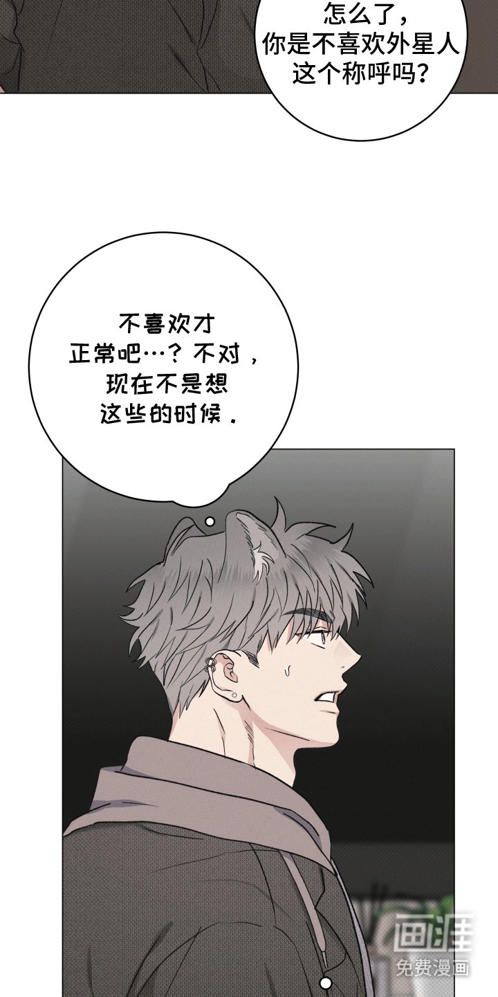 第4章：请求