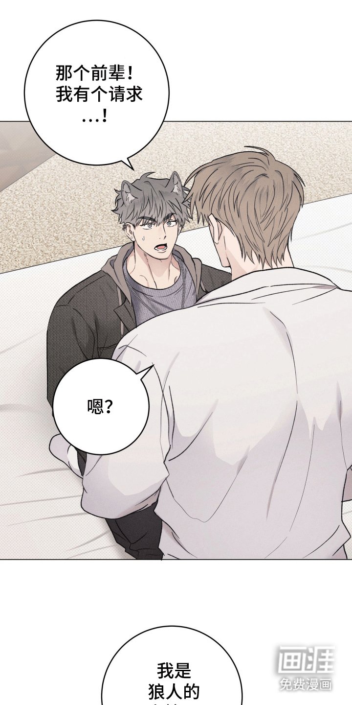 第4章：请求