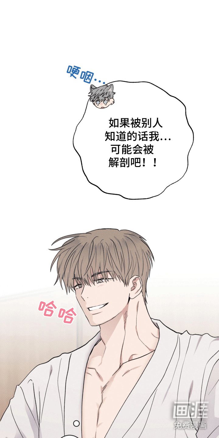 第4章：请求