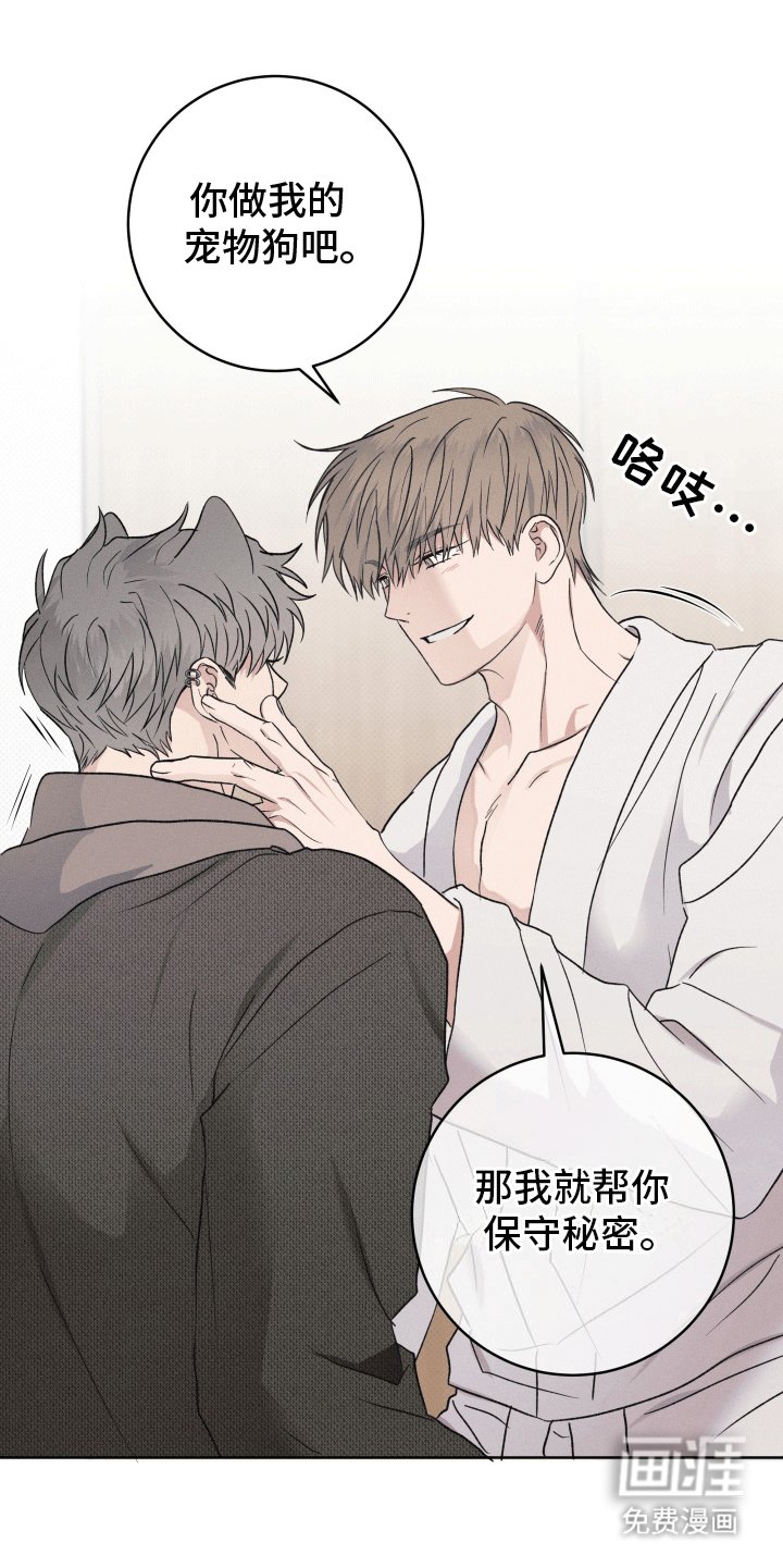 第4章：请求