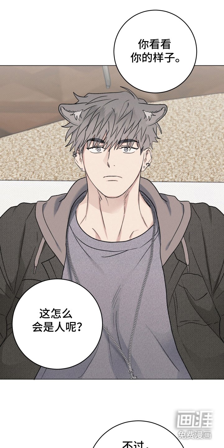 第5章：保守秘密
