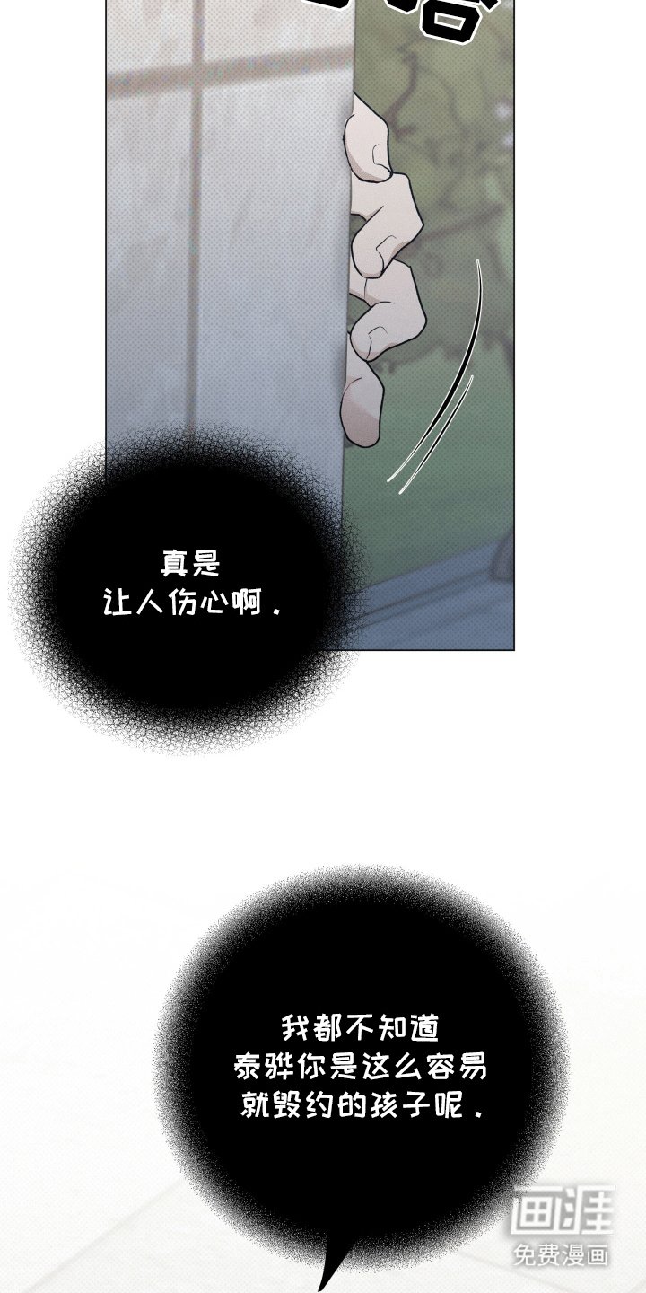 第7章：胡说八道