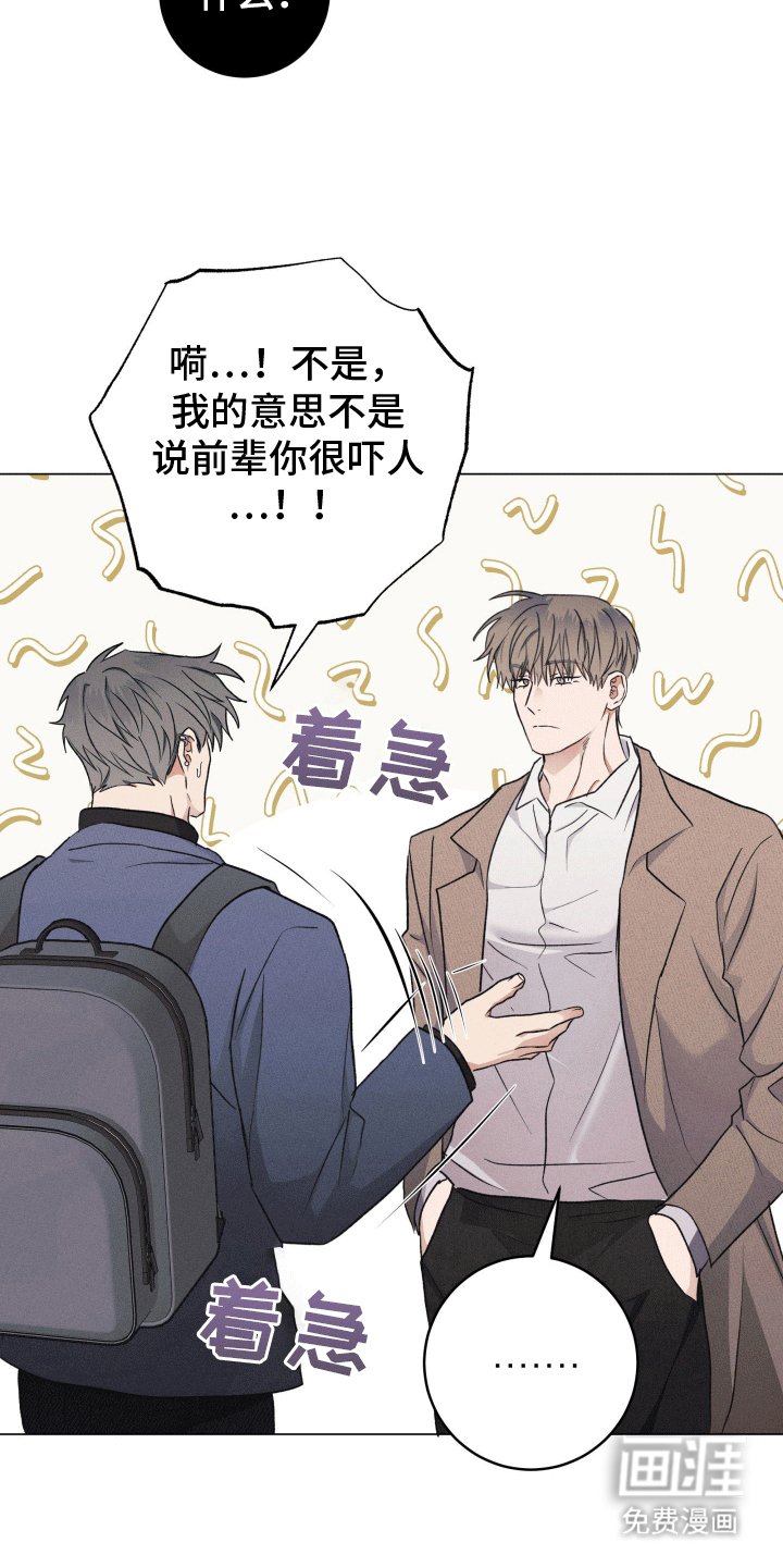 第7章：胡说八道