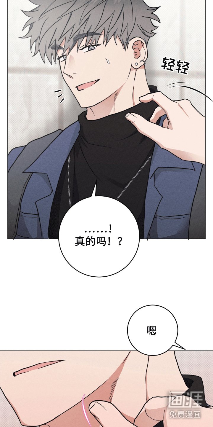 第7章：胡说八道