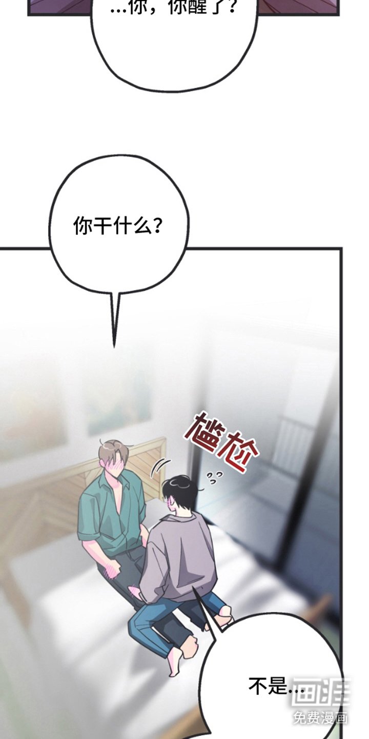 第8章：新的东西