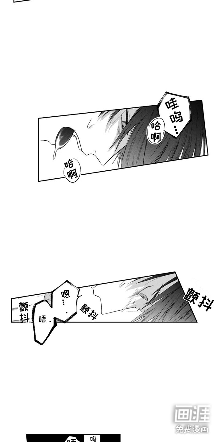 第16章：伪装