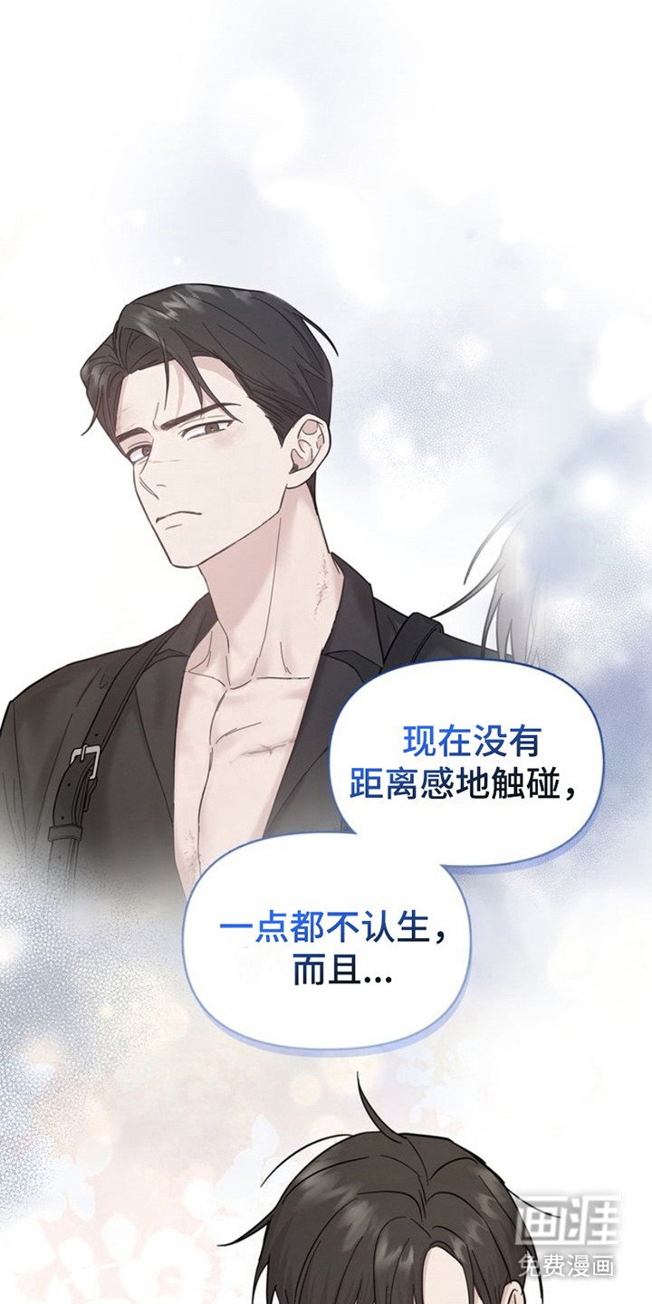 第13章：训练