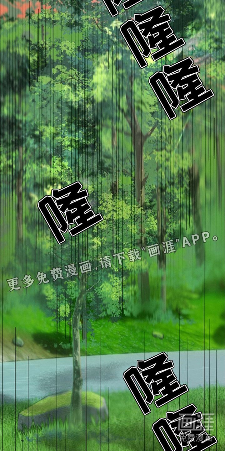 第13章：训练