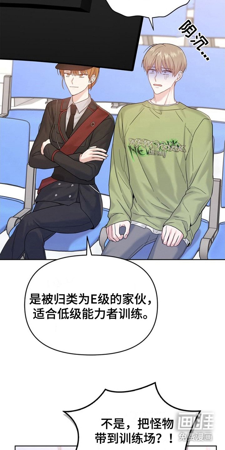 第13章：训练