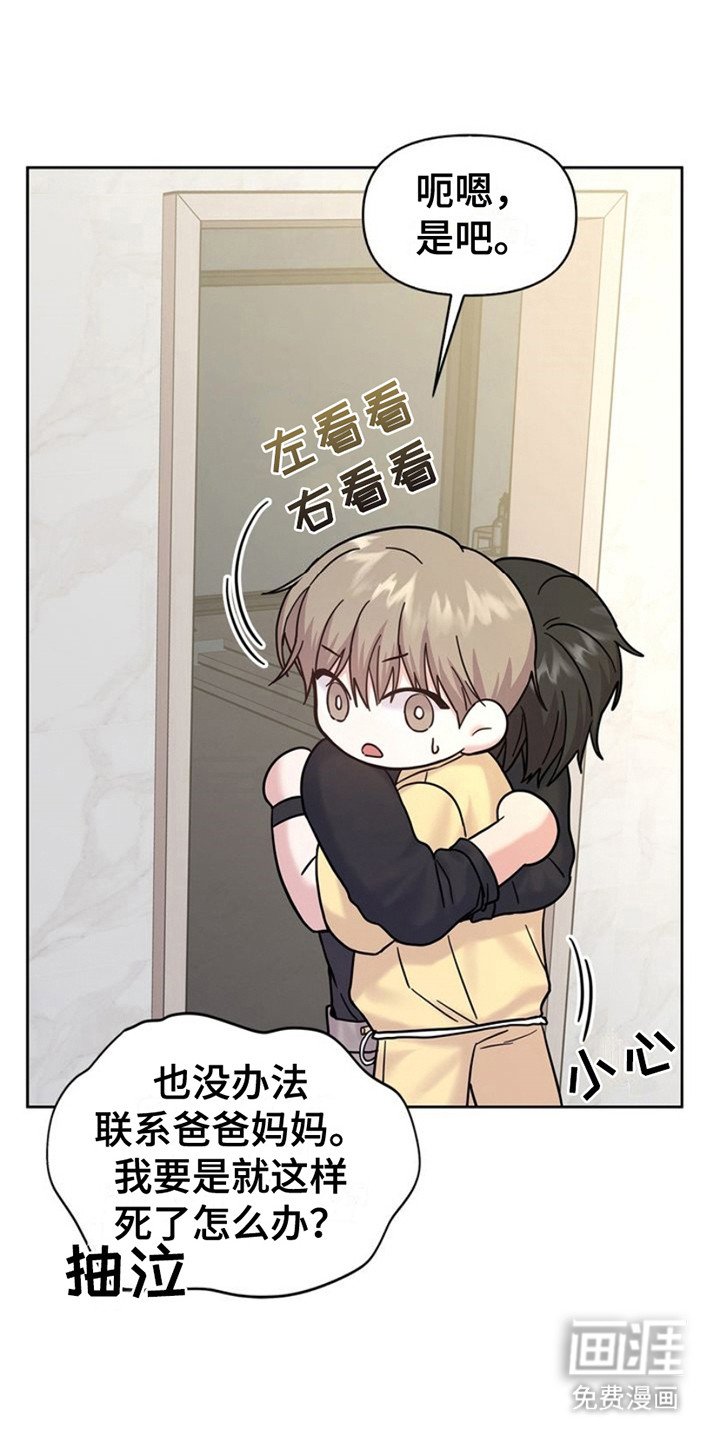 第17章：数值紊乱
