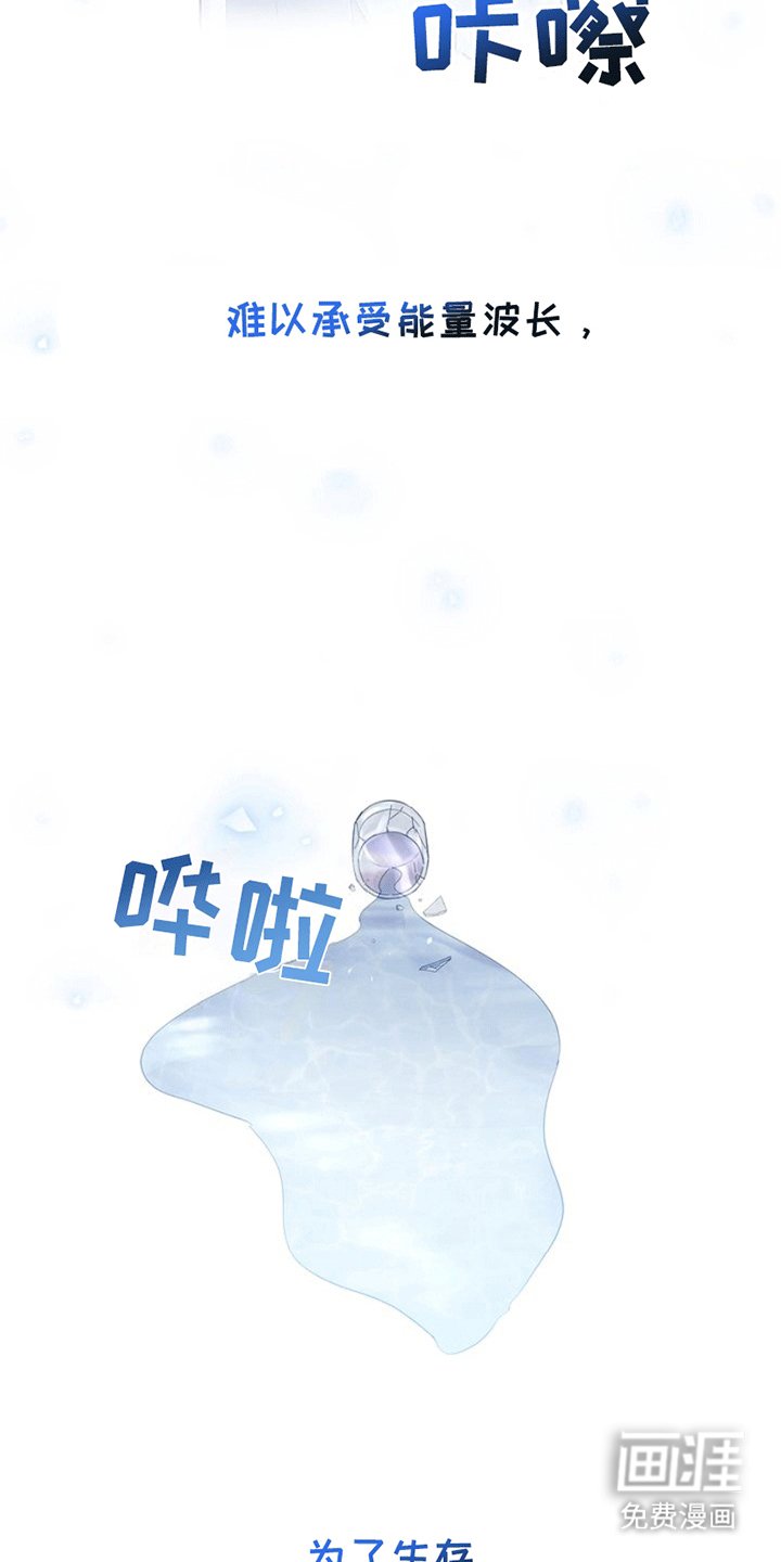 第5章：失忆