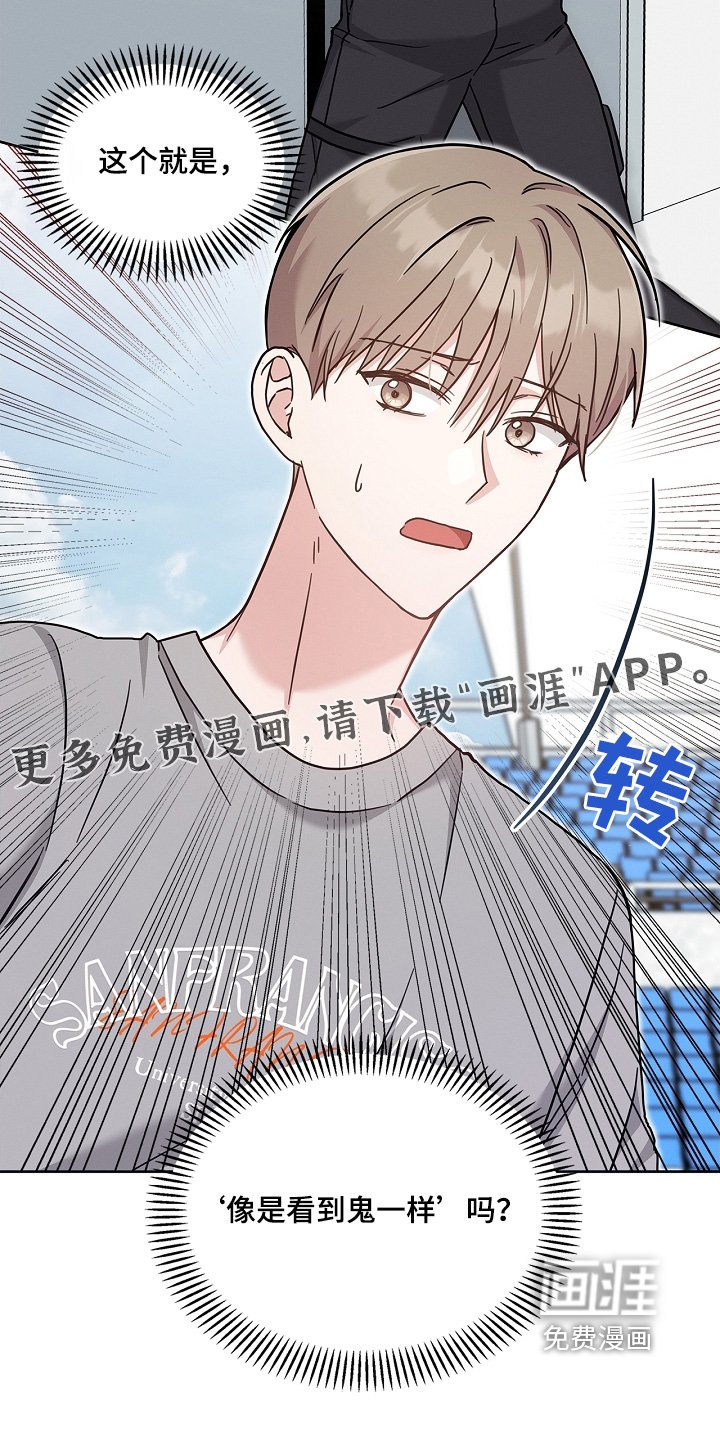 第55章：到底怎么了