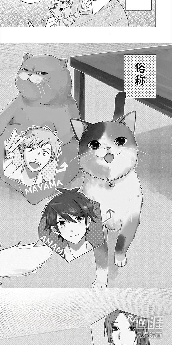 第1章：我们的猫猫部