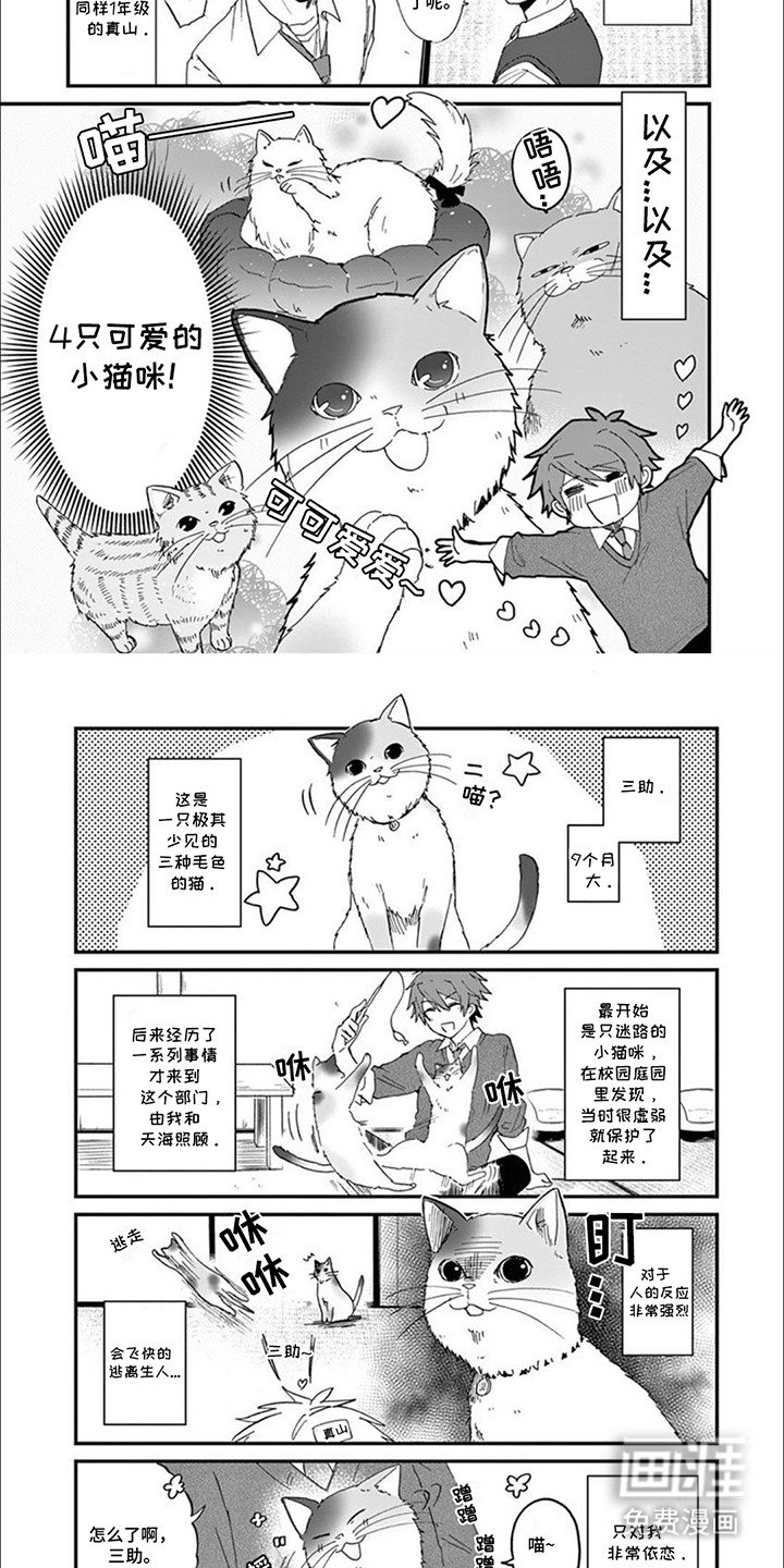 第1章：我们的猫猫部