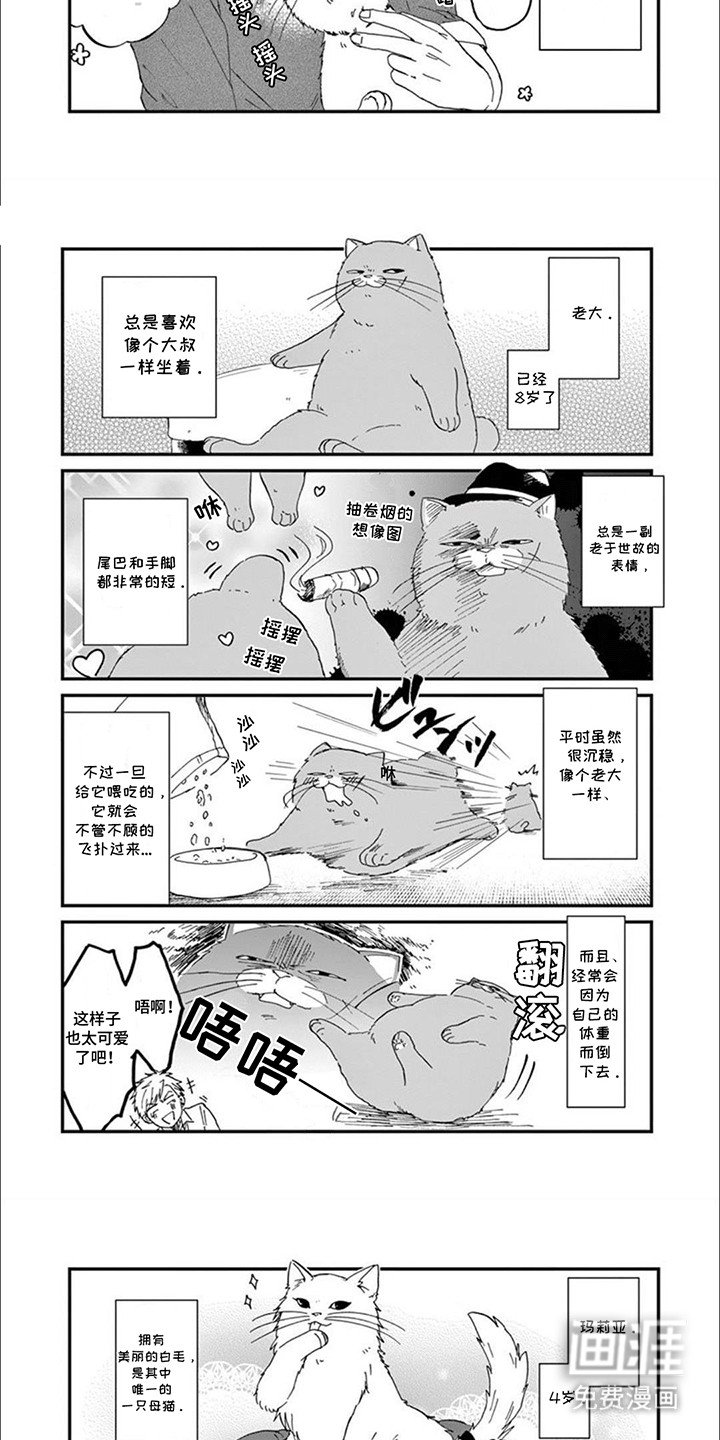 第1章：我们的猫猫部