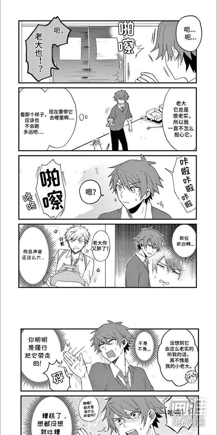 第10章：猫咪导师