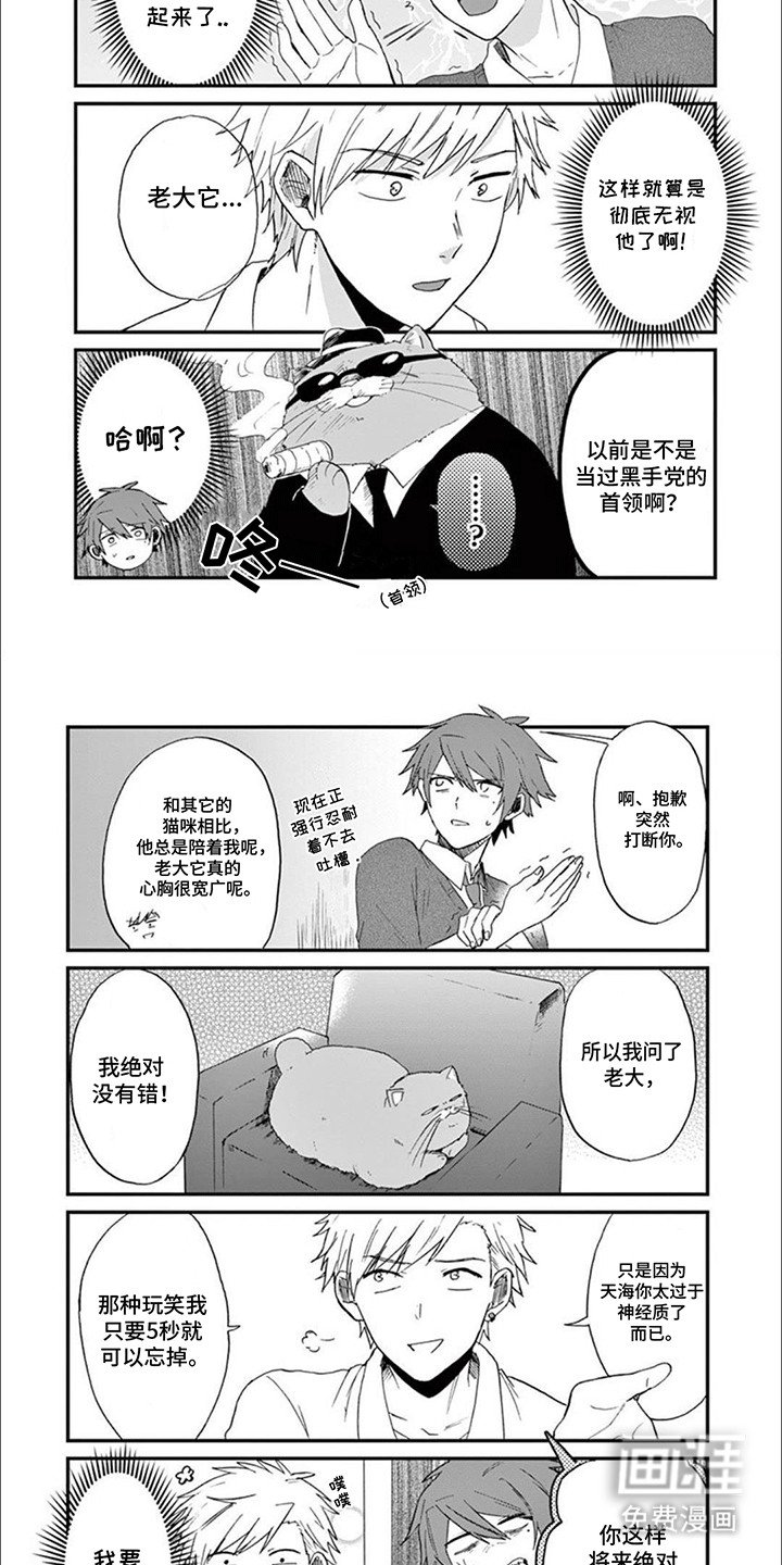 第10章：猫咪导师