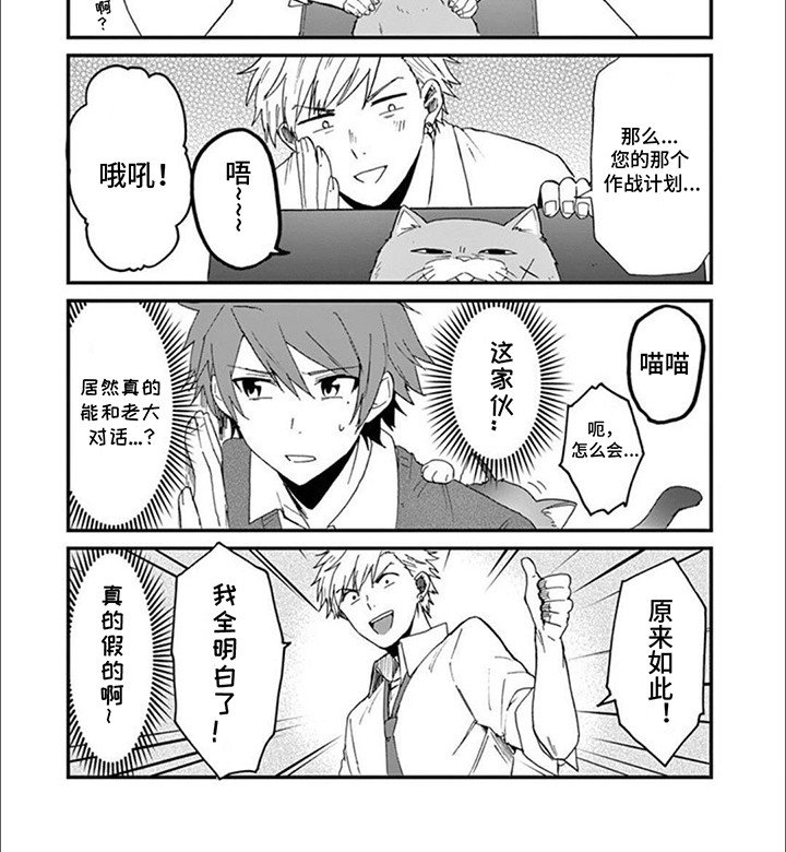 第10章：猫咪导师