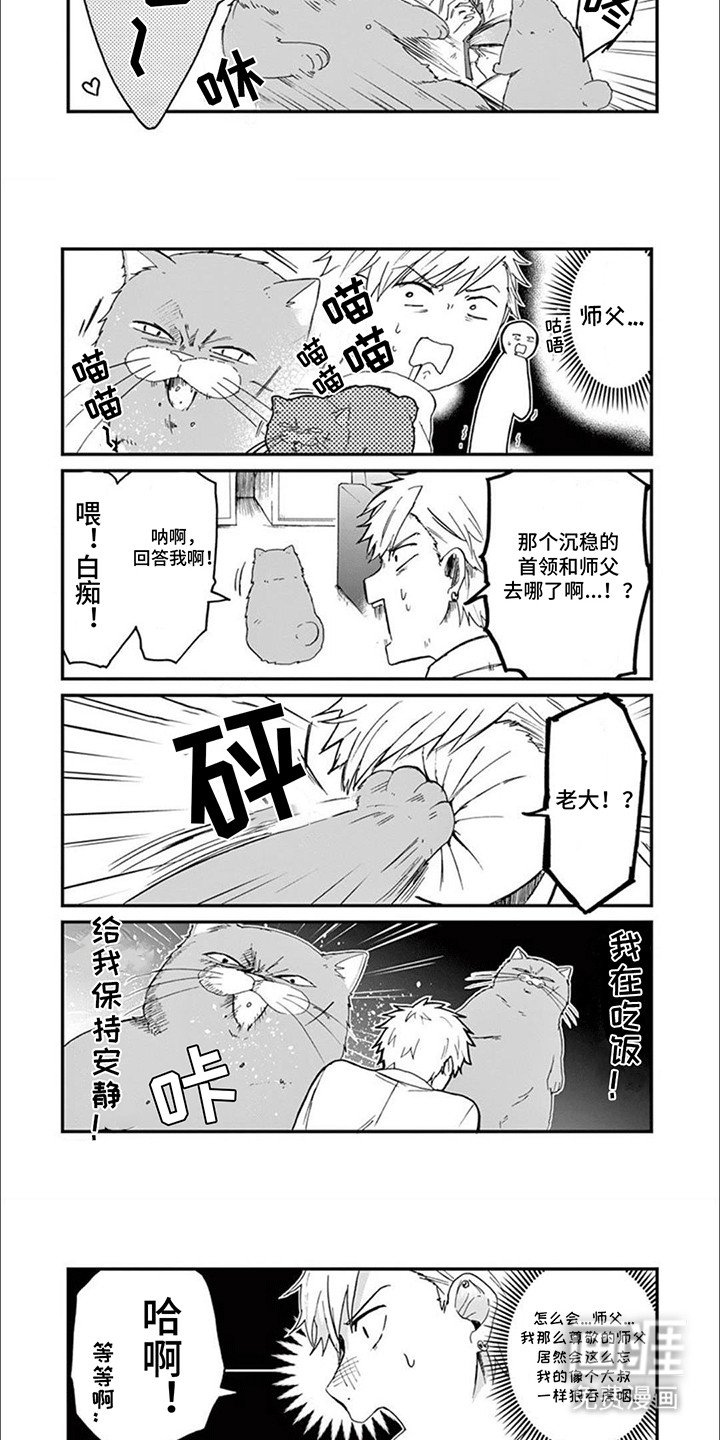 第10章：猫咪导师