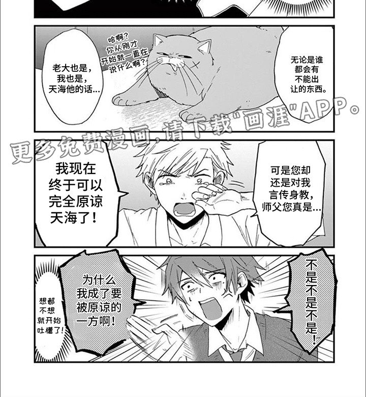 第10章：猫咪导师