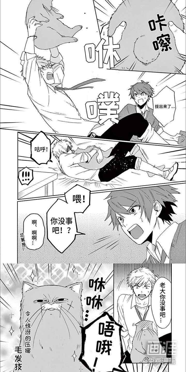 第11章：老大卡住了