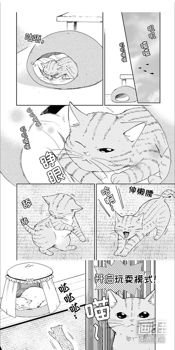 第14章：老大带娃