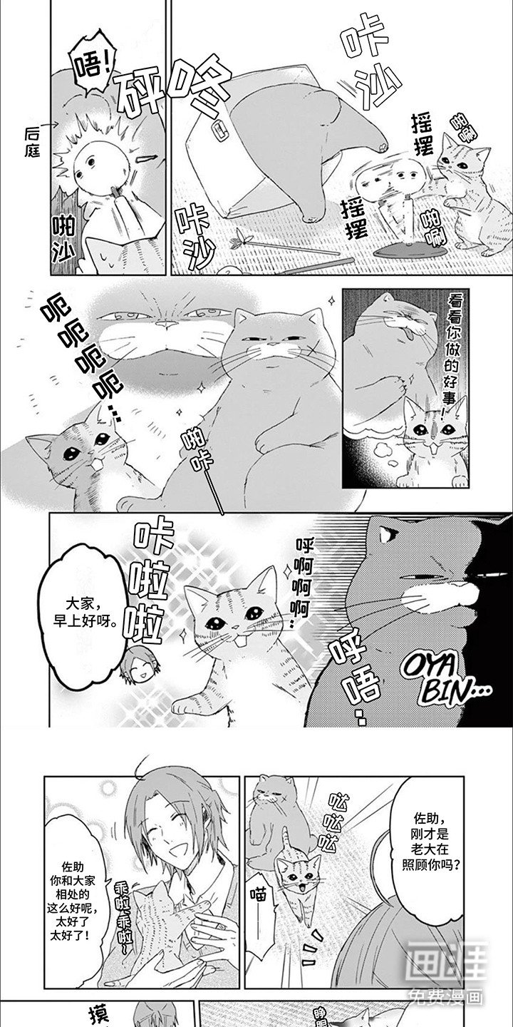 第14章：老大带娃