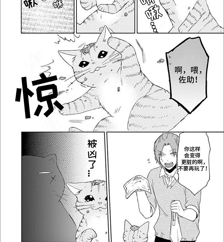 第14章：老大带娃