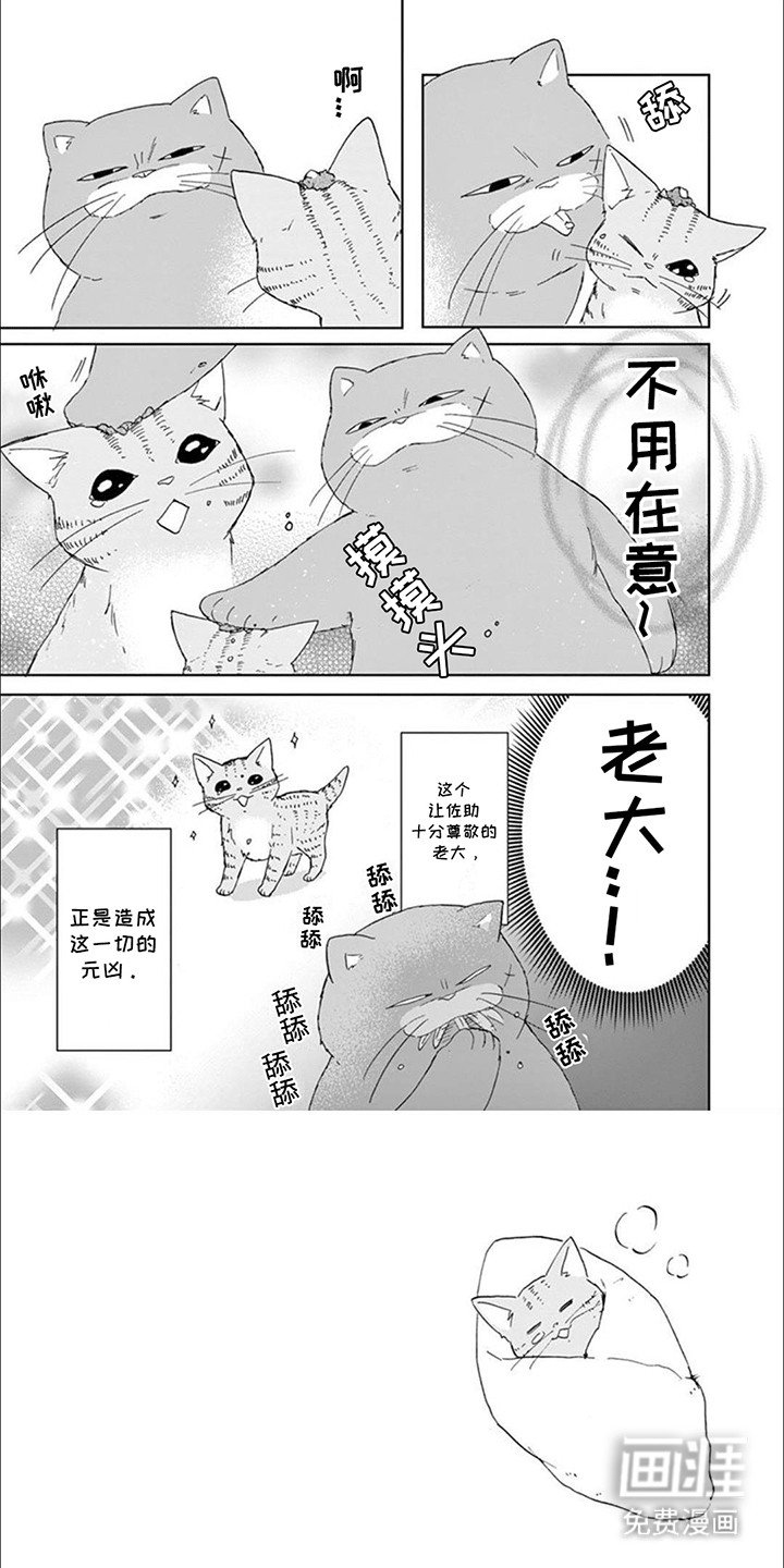 第15章：捣乱