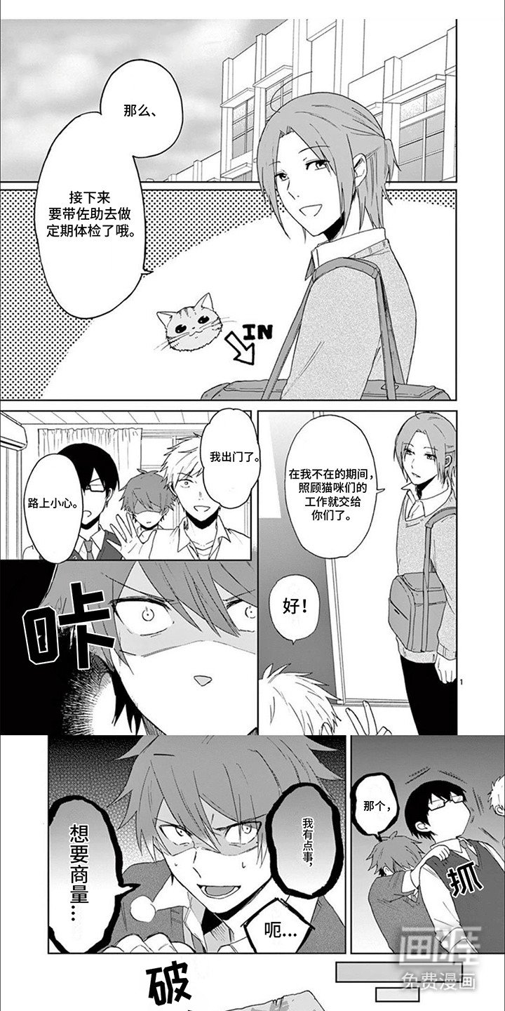 第15章：捣乱