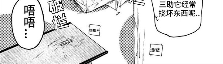 第15章：捣乱