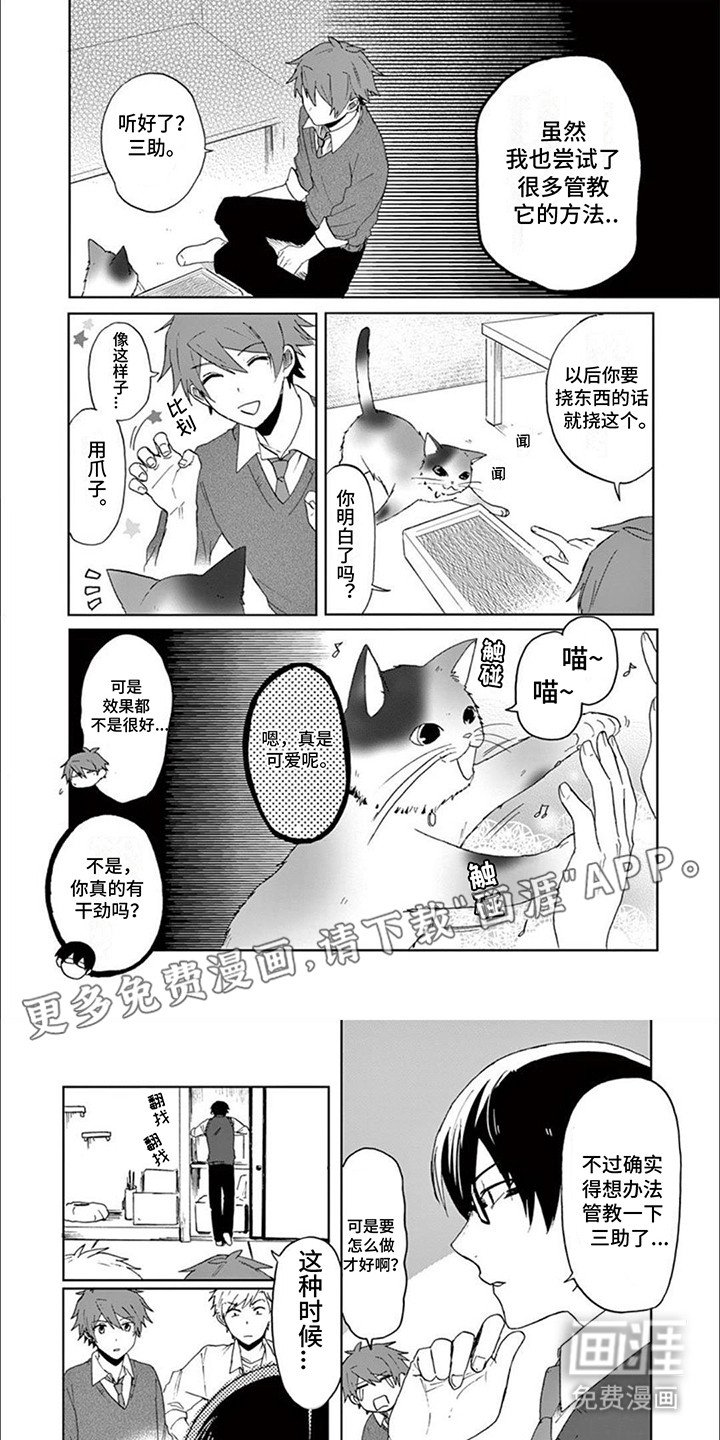 第15章：捣乱