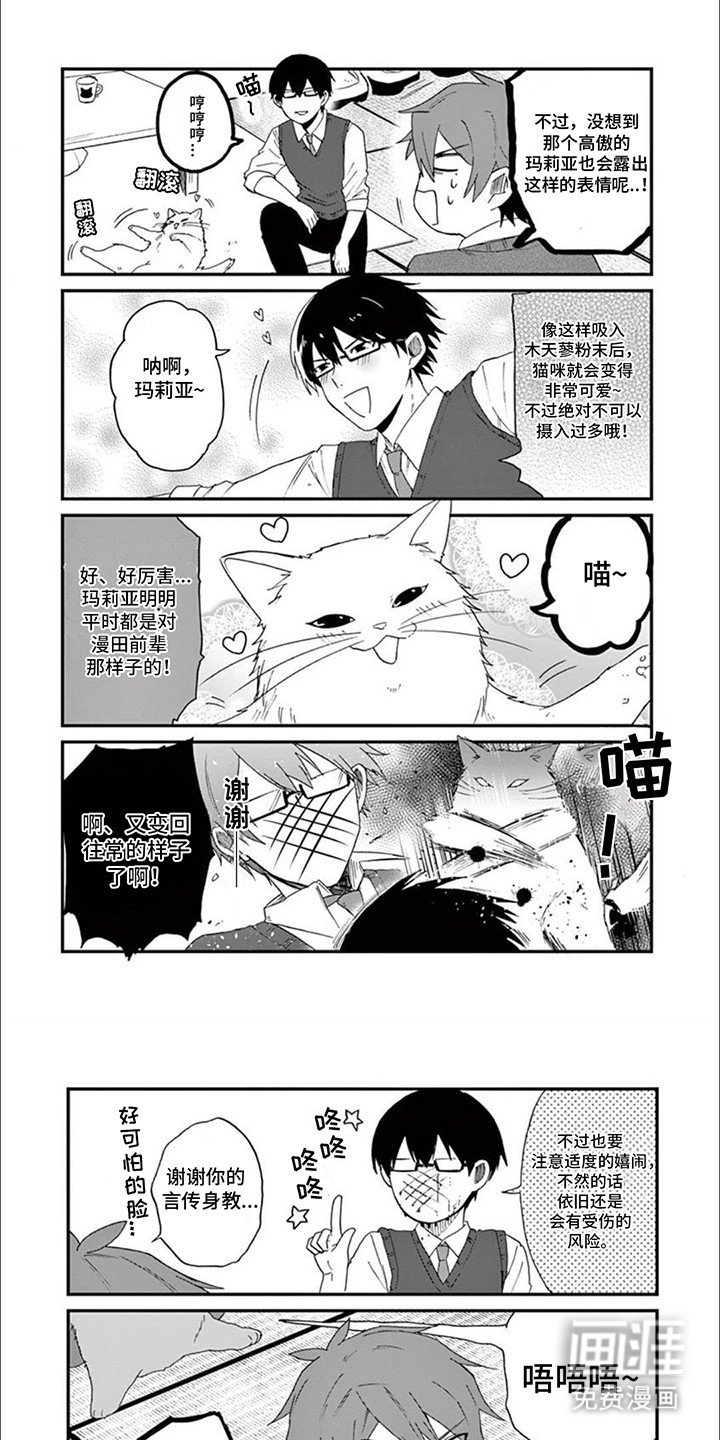 第16章：木天蓼