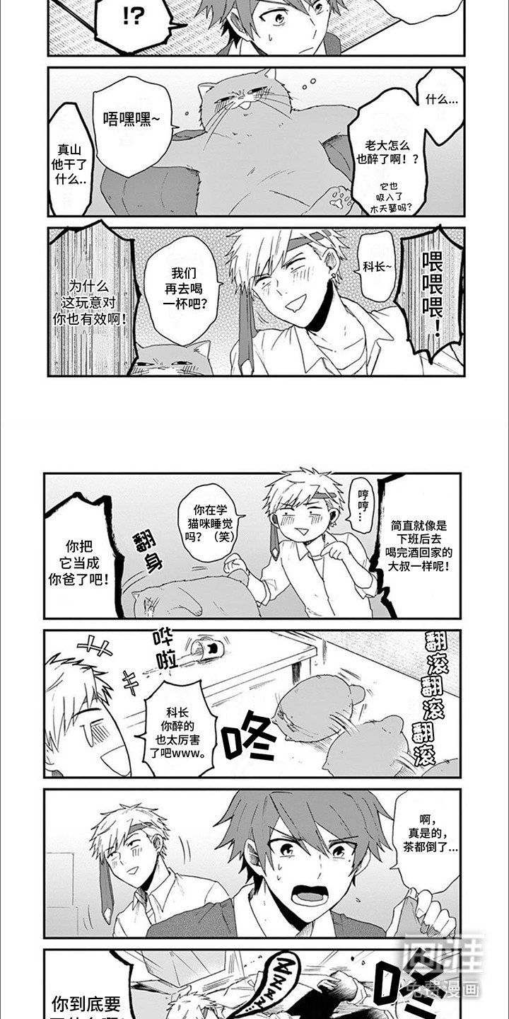 第16章：木天蓼