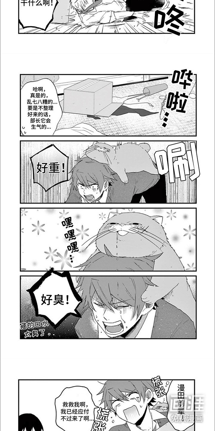 第16章：木天蓼