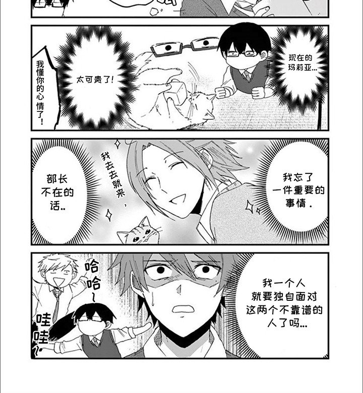 第16章：木天蓼